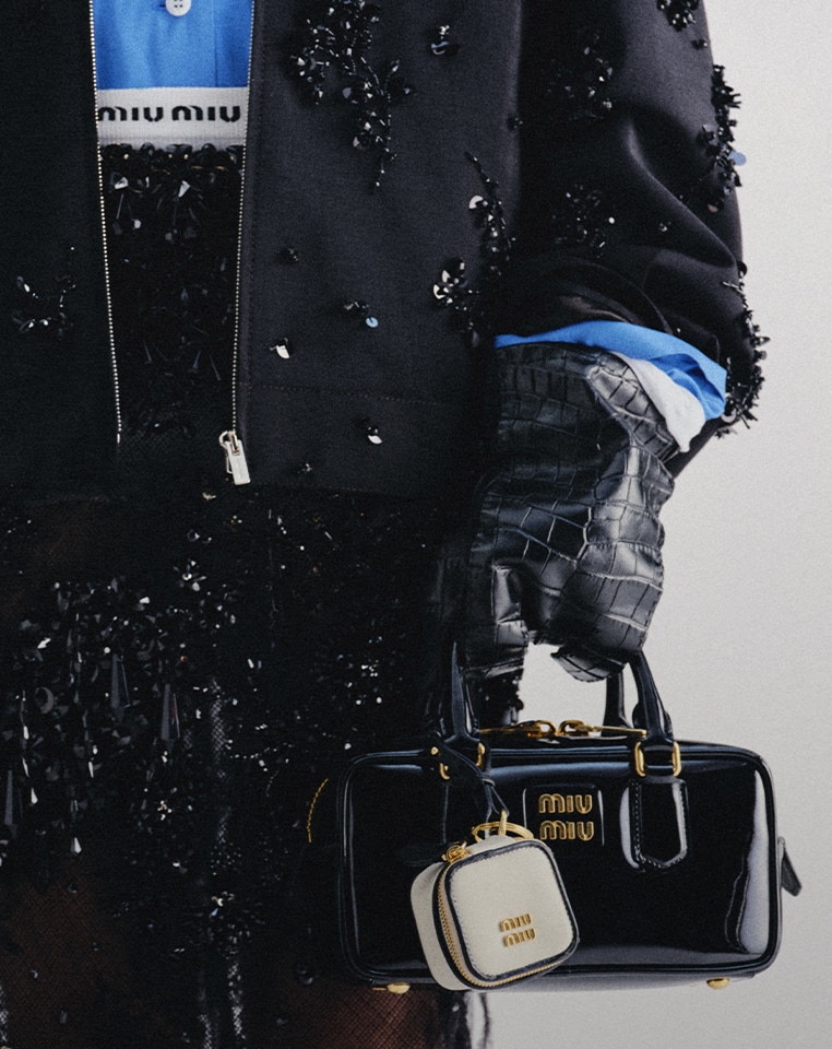 Image 57: bag_big