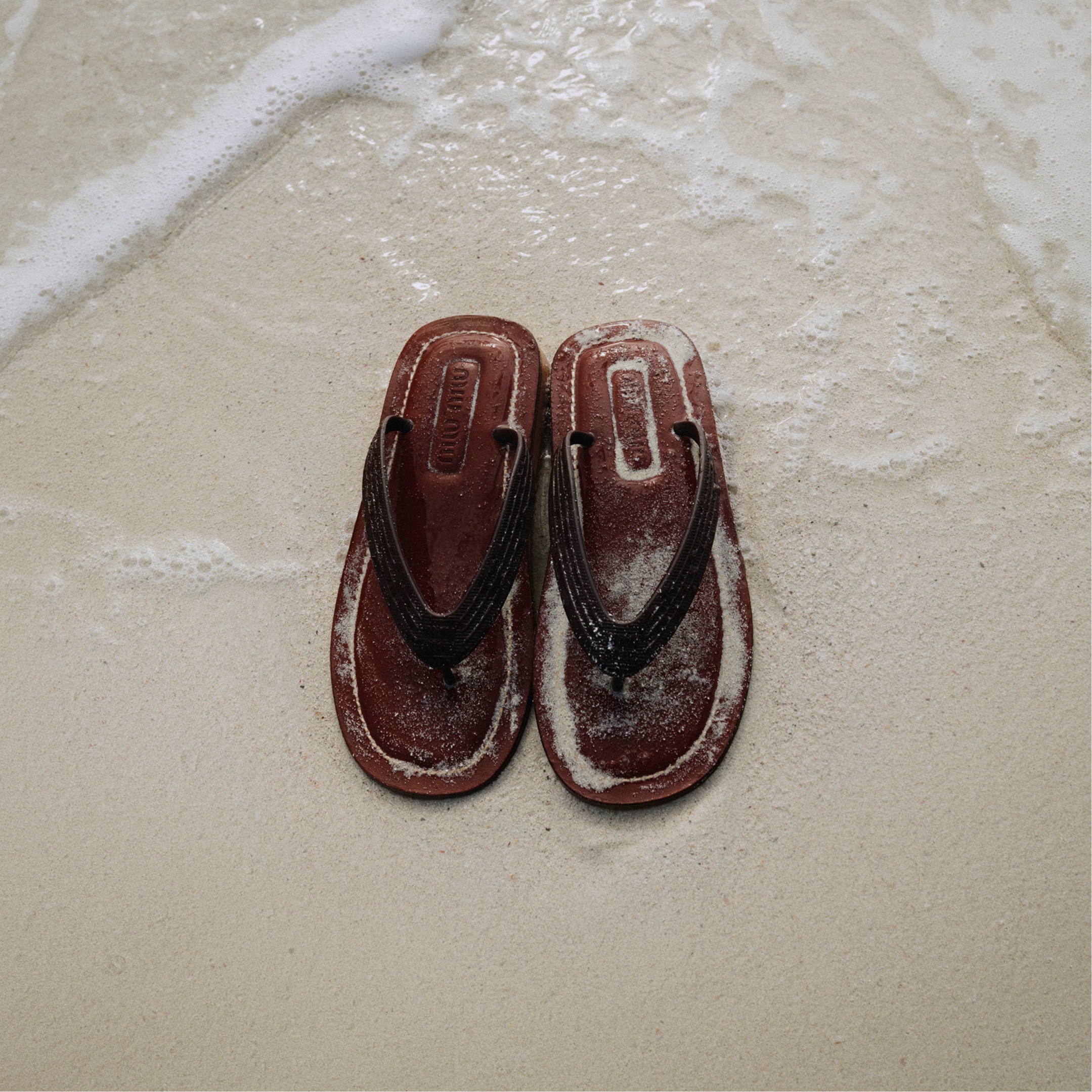 さしみ♡miumiu Miu Miu Latest Collection: New Arrivals | Miu Miu - United States