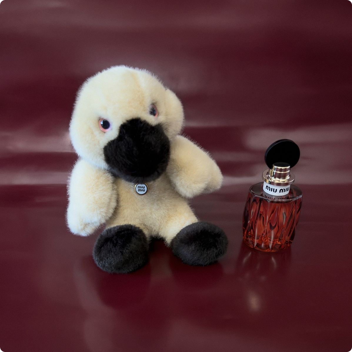 fragrances fragrances