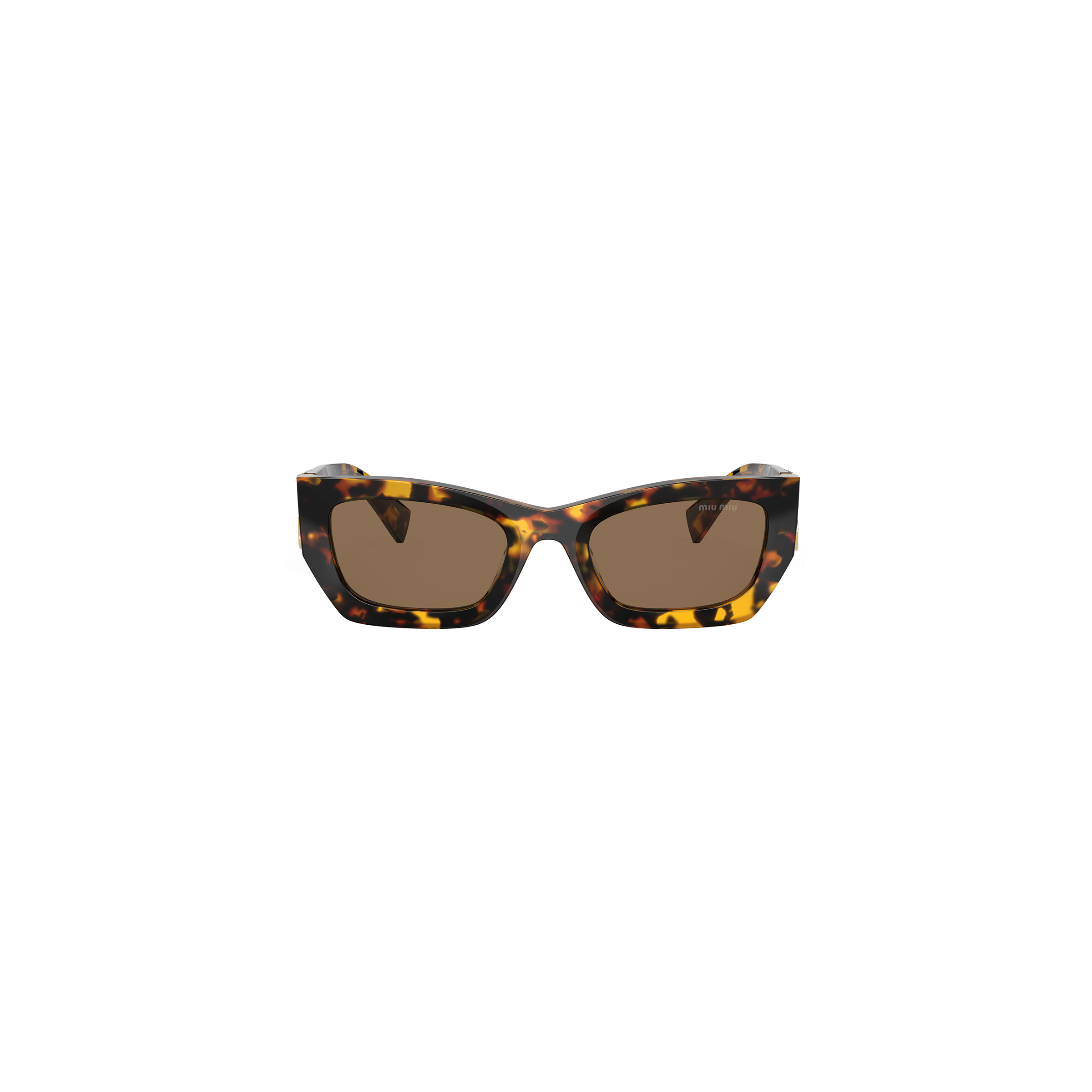Miu Miu Eyewear Collection Sunglasses In Coffee Lenses