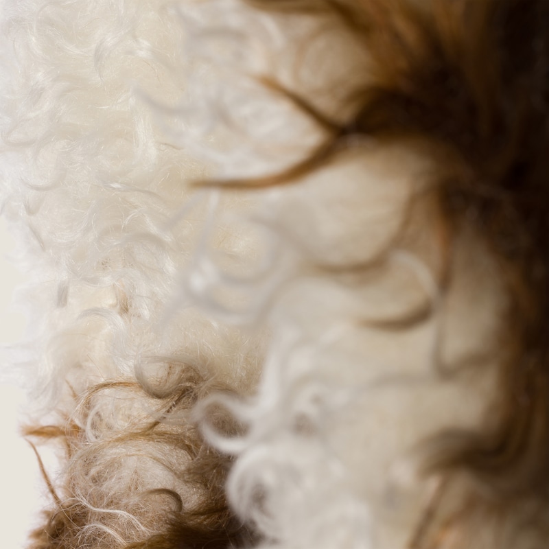 Wander初剪马海毛包袋