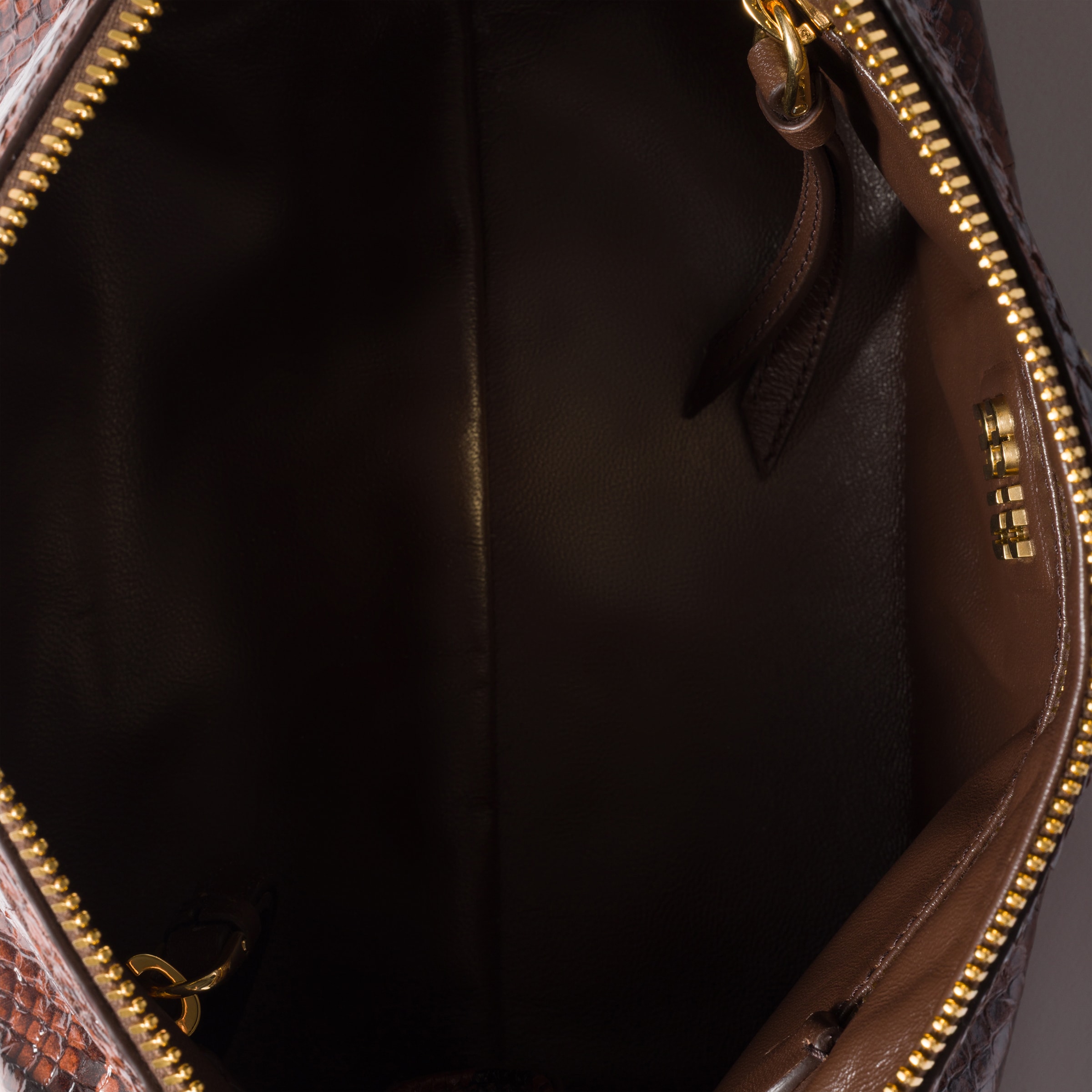 Miu Miu Python-print Ayers Leather Clutch In Brown
