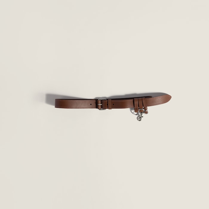 Belts - Brasil | Miu Miu - Brasil