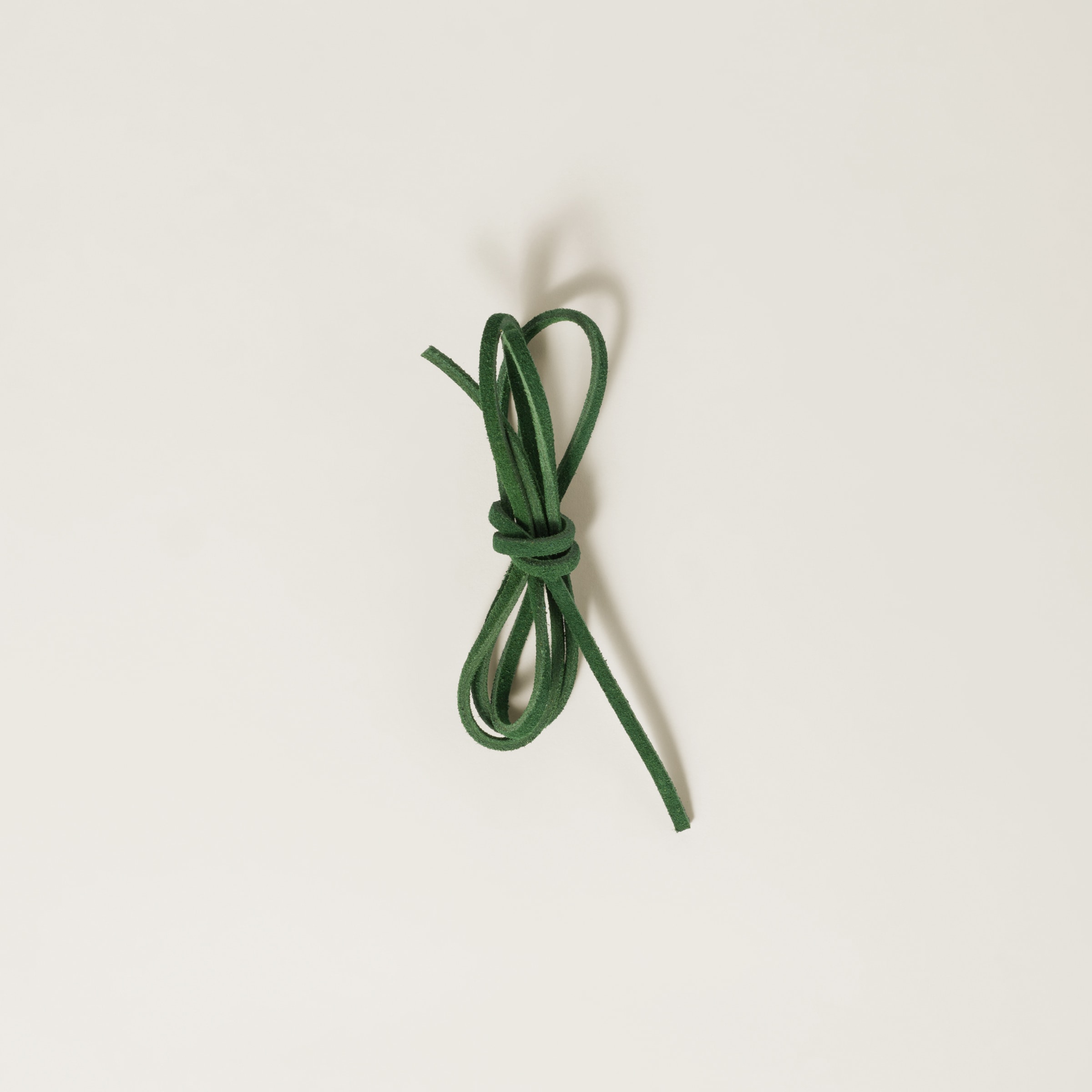 Miu Miu Colored Leather Laces In Green