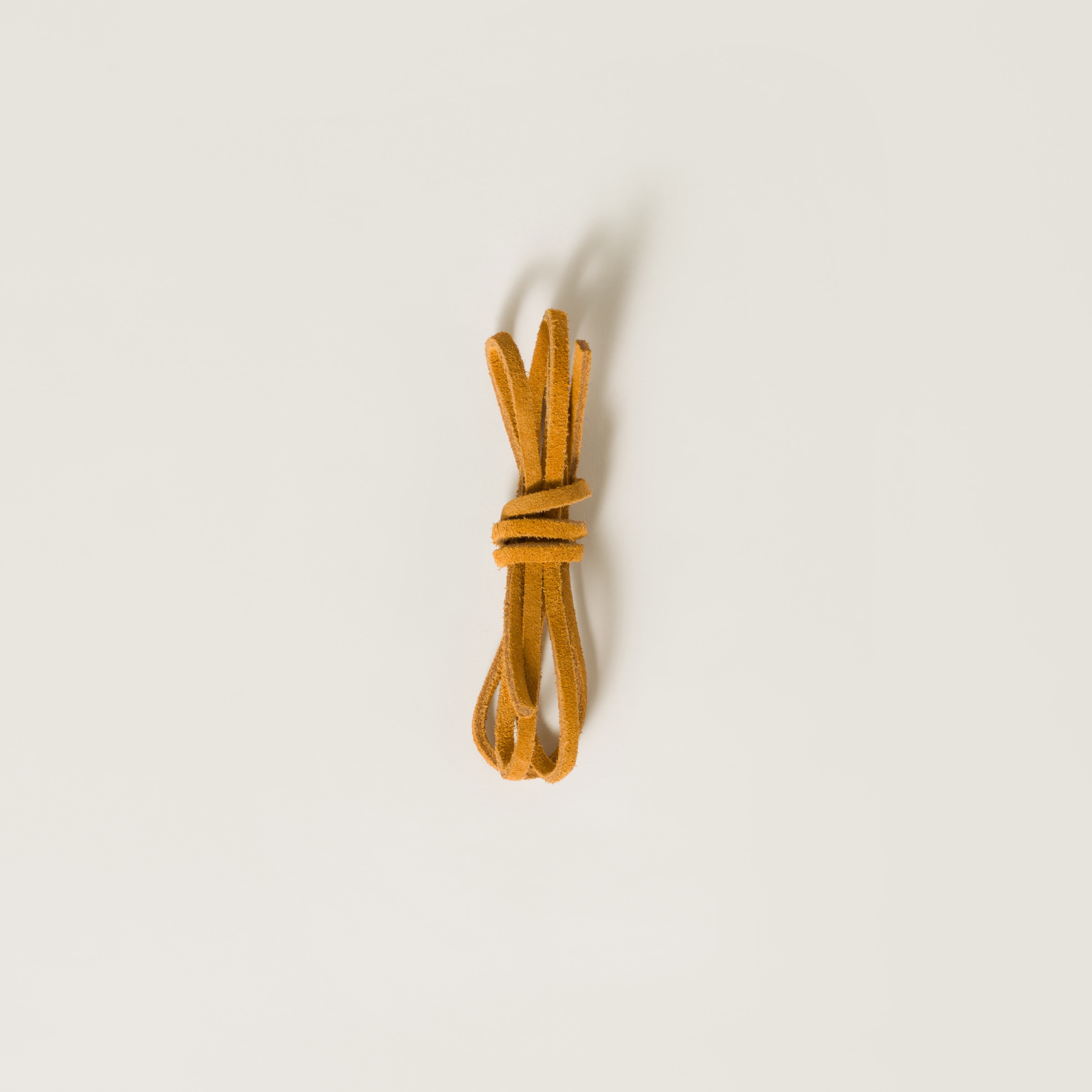 Miu Miu Colored Leather Laces In Topaz