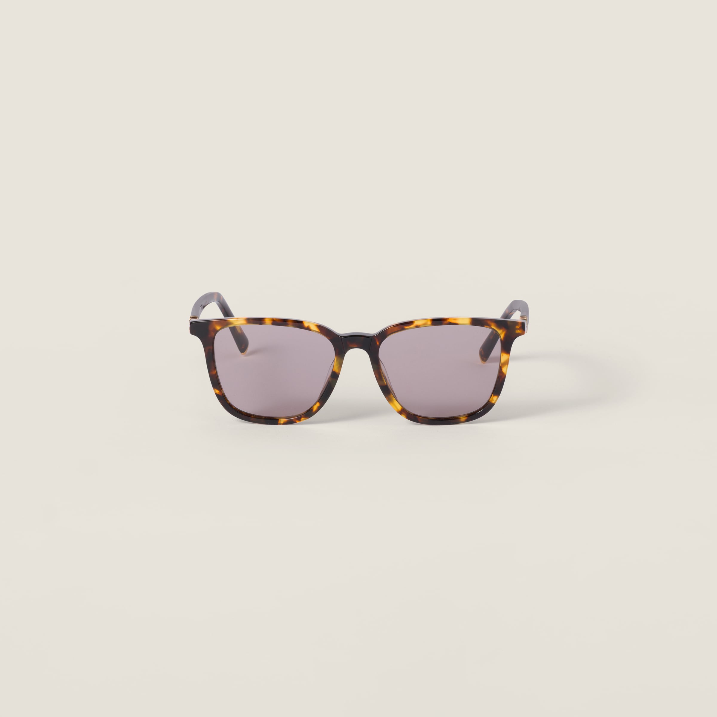 Miu Miu Miu Regard Sunglasses In Brown